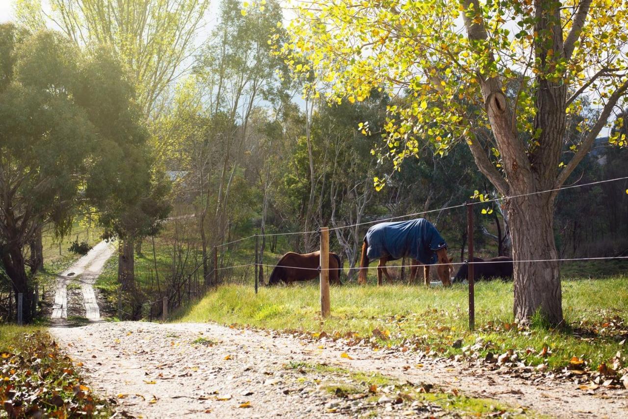 Colby Cottages, Wooragee Near Beechworth Екстер'єр фото